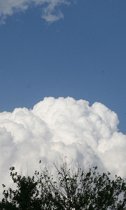 bellingham co ocurring disorder treatment